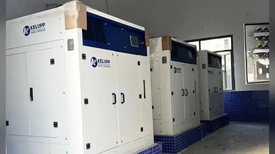 30% Energy Saving VFD/ VSD General Industrial 75kw 100HP Oil Free Screw Type Air Blower with PLC Inverter Pm Motor for Water Treatmen