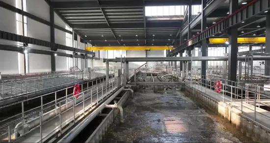 Energy Saving Oil Free Aquaculture Screw Blower for Demanding Applications